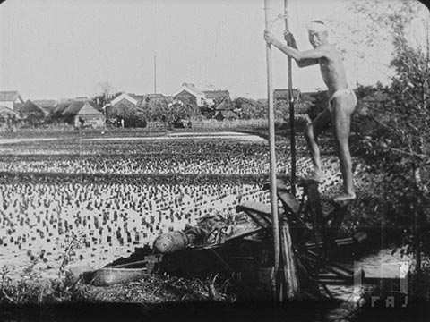 田に水を送る水車 / Moulin à homme pour l'arrosage des rizières